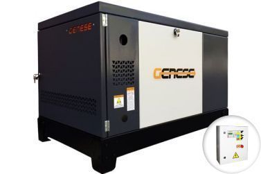 Газовый генератор Genese GG25 в кожухе с АВР