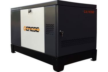 Газовый генератор Genese Standard 17000T Neva в кожухе
