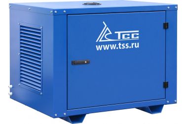 Бензиновый генератор ТСС SGG 6000EH3NA в капоте