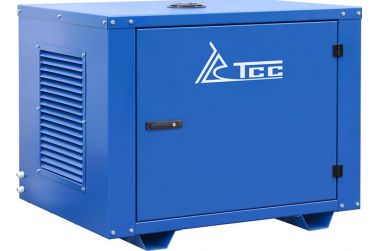 Бензиновый генератор ТСС SGG 6000EHNA в капоте